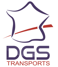 logo dgs